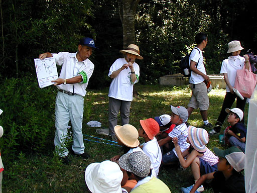 �J�̉������������ŋ�