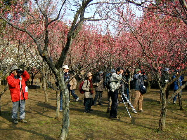 �~�тŖ쒹�𔭌�