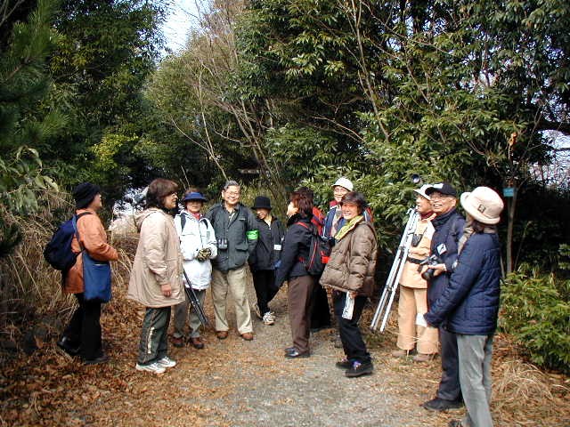 �y�������؂̊ώ@