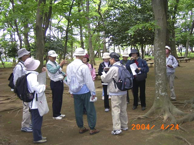 �ڂŊςāA��ŐG���ĐX�̖؁X���ώ@���b������