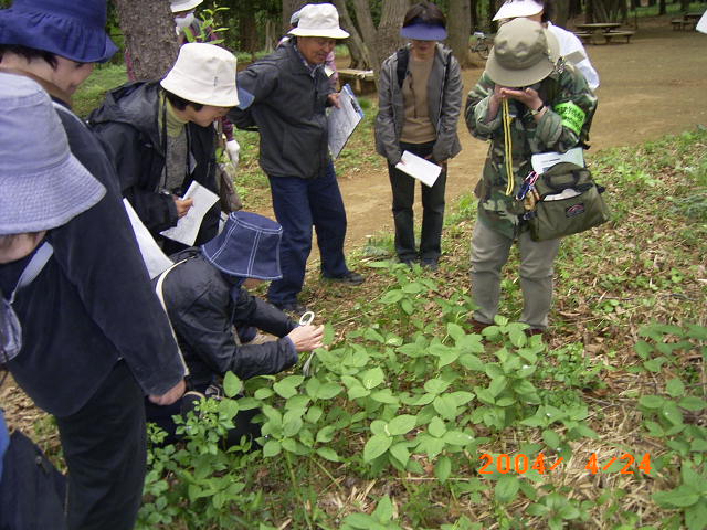 �t�^���V�Y�J�����[�y�ŔM�S�Ɋώ@����