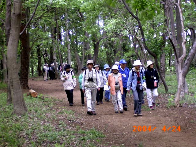 �V�΂̖؁X�̉��A�X�ї��𖞋i����