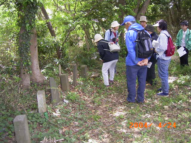 �n���ω��̔�Ɍ����蓖����z���Q����