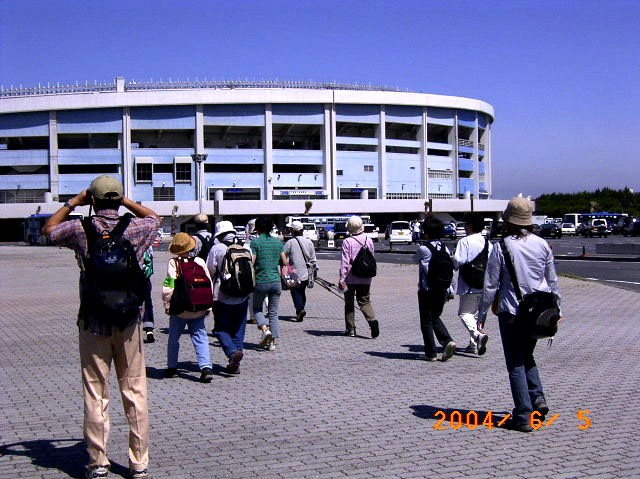 ���b�e�}�����Y�t�A���H�̃C���c�o���̊ώ@�ւ̕��i�ʐ^