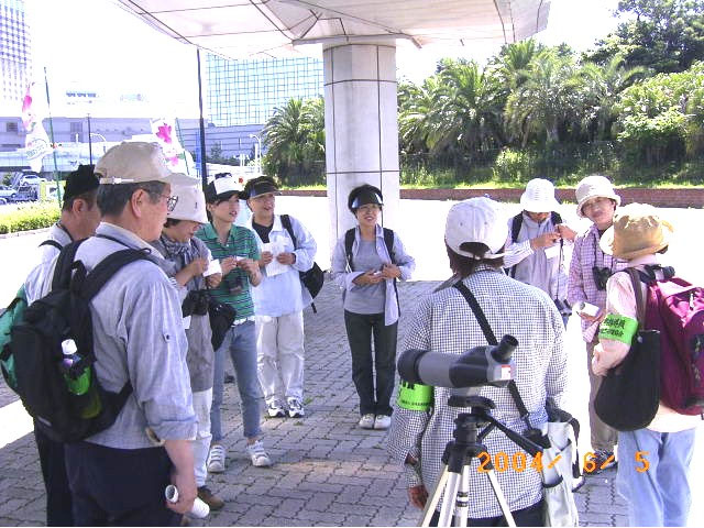 �ώ@��̃X�^�[�g�I�R�A�W�T�V�Ɉ�����Ƃ����ł��˂̕��i�ʐ^