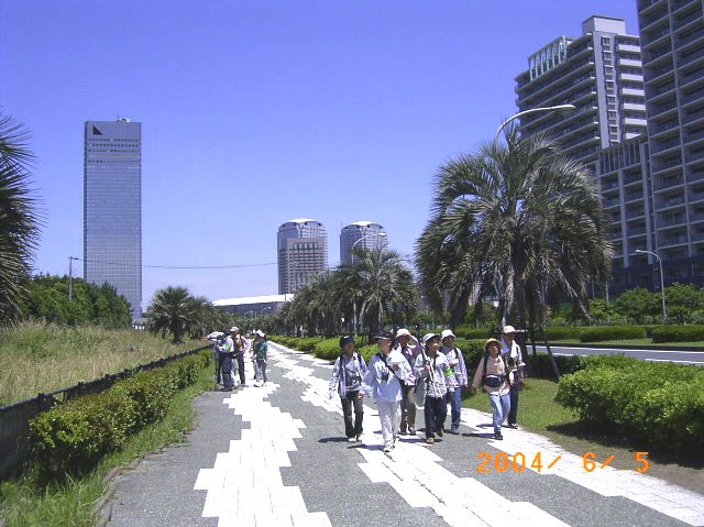 �q�o����Z�b�J�̂�������𒮂��Ȃ��猟����̕l�ւ̕��i�ʐ^