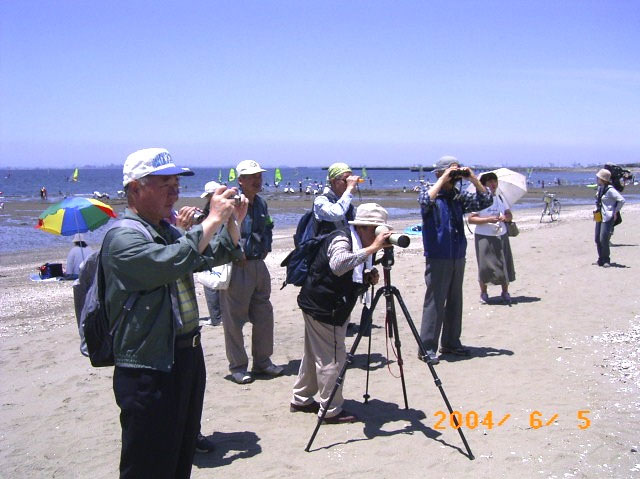 ���ړ��ẴR�A�W�T�V�Ɉ����ĔM�S�Ɋώ@����Q���҂̕��i�ʐ^