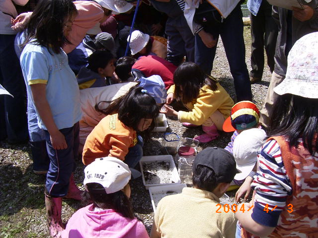 �u�w�����̐����𒮂��߂܂������ӂ̐��������ώ@���Ă���ʐ^�v