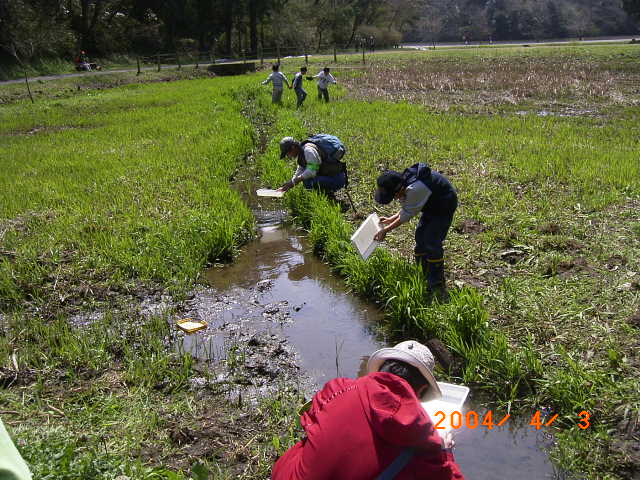 �u�ώ@��I����A���̐��H�ɖ߂��Ă����Ă���ʐ^�v