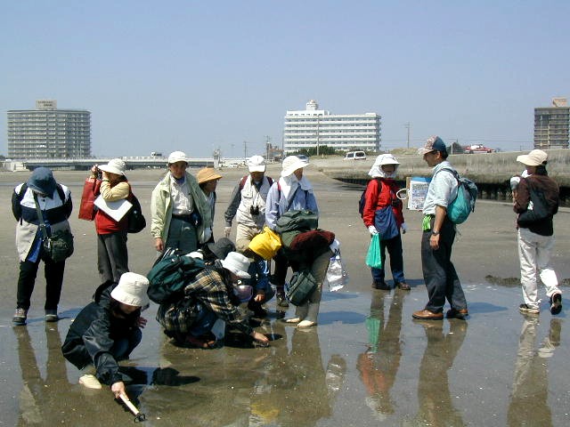 �씒�T��͌��Ńn�}�O���ώ@