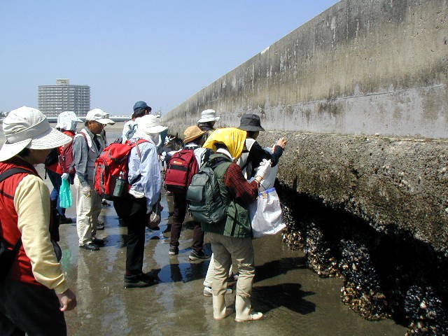 �h�g��ɕt�������L�ނ̊ώ@