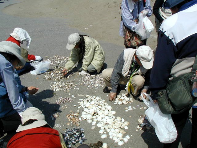 �������̊L�ނ̕���