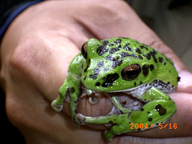 �u�X�̗d���H�����A�I�K�G���v