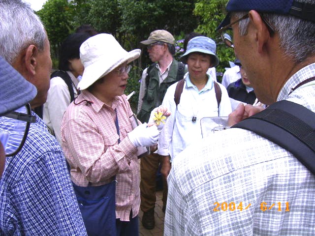 �u�N�`�i�V�̉Ԃŕ��ԗV�т��ł��܂���v�̕��i�ʐ^