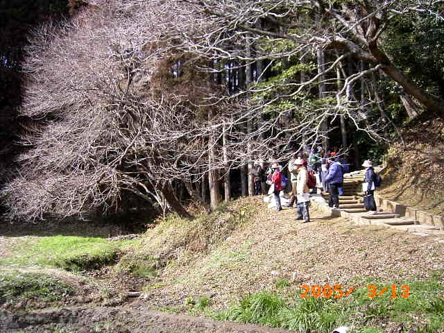 �J�Óc�̐��H�𗬂�邫�ꂢ�Ȑ��͂ǂ����炭��̂ł��傤�H