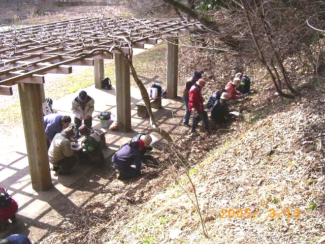 �����I������̎Ζʂŗ����t��~�������y�̒��̐������̊ώ@�J�n