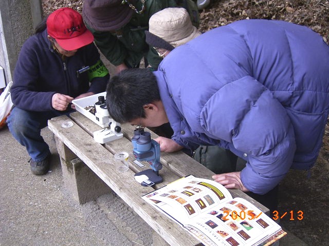 �y�듮���}�ӂƌ���ׂȂ��猰�����ŔM�S�Ɋώ@����