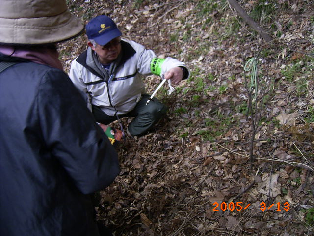 �����t�̉��̓y��̉��x�͊O�C�����U�����������ł���I