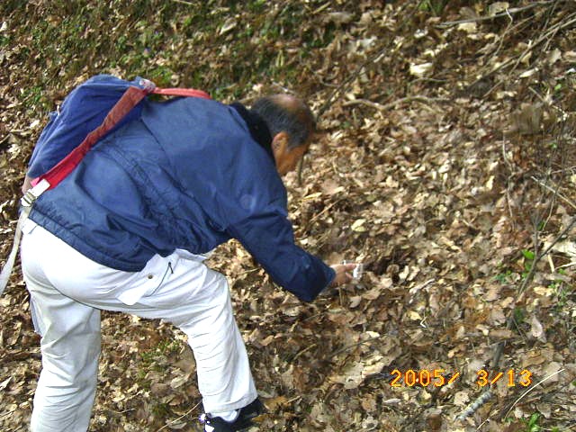 �ώ@�̏I������y�̒��̐������͌��̏ꏊ�̓y��ɖ߂��܂��傤