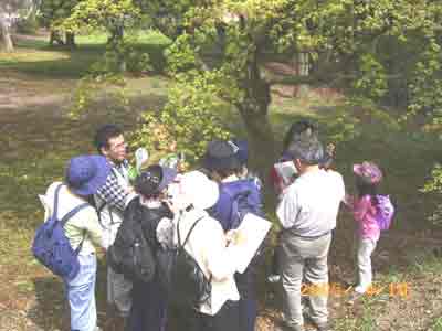 �C���n���~�W�̐^���ԂȉԂ��V�΂̗t�ɉf���Ĕ������Ԃ����߂ĊςĊ�������l��