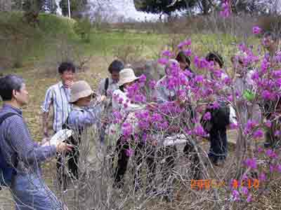 �~�c�o�c�c�W�̉Ԃ̐F�ɂ��΂�������Q���҂̊F����@�����ȐF������񂾂Ȃ��I