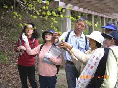 �N�����W�̗t�Ɖԁ@���R�E�̐F�̉��o���y���ގQ���҂̊F����