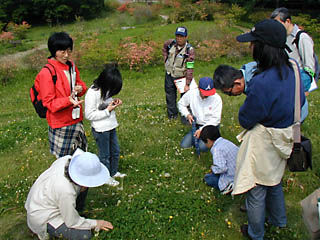 �����Ń^���|�|�A�V���c���O�T�̎󕲂��l���Ă���ʐ^