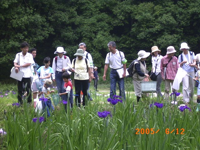 �Ҋ��c�̘e�𗬂�鏬��ɐ��ސ������̂�߂܂��ώ@����ʐ^