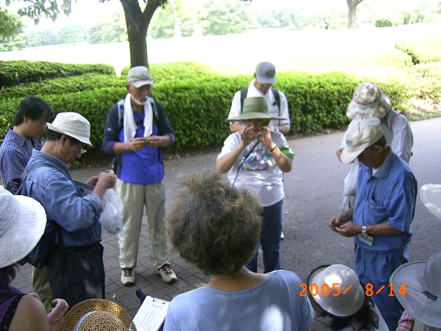 �ώ@��̎ʐ^�ł��B�������͉��ɂ���܂�