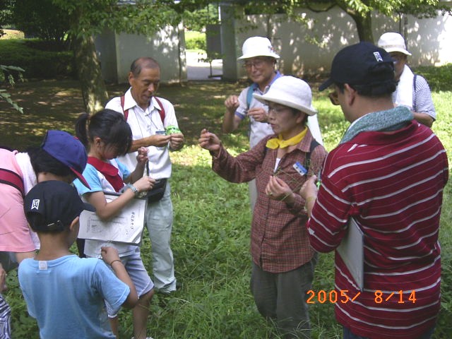 �ώ@��̎ʐ^�ł��B�������͉��ɂ���܂�