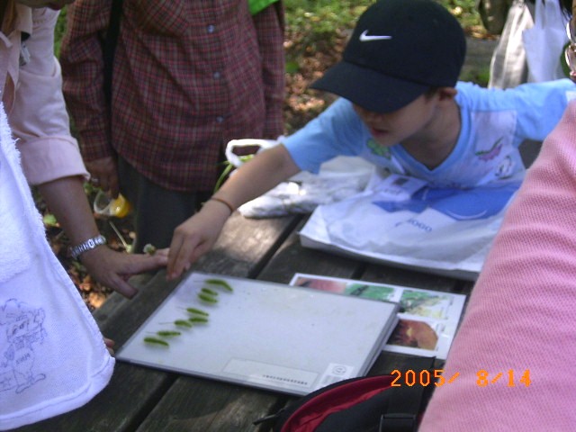 �ώ@��̎ʐ^�ł��B�������͉��ɂ���܂�