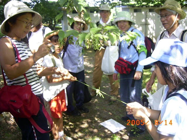 �ώ@��̎ʐ^�ł��B�������͉��ɂ���܂�