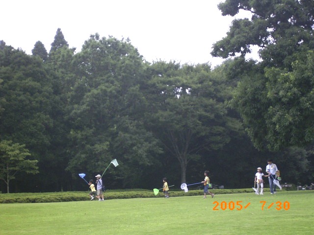 �����I�g���{�����܂��邼�I�E�X�o�L�g���{�̌Q���ǂ�������Q���҂̎ʐ^