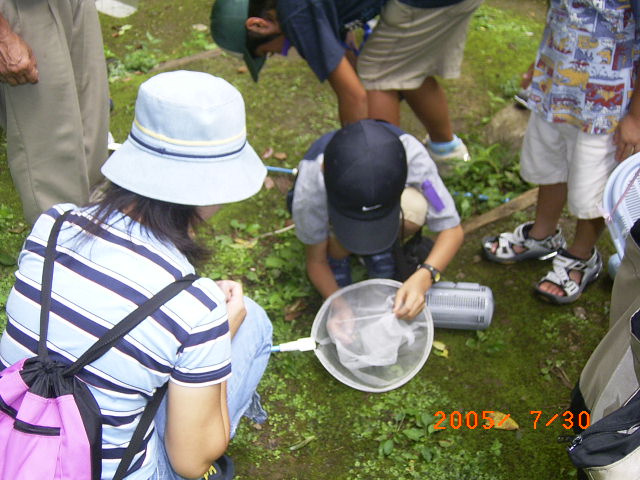 ���ꂳ��@�Ɍ����Ă���ʐ^�@���̃g���{�ڂ����߂܂����̂���