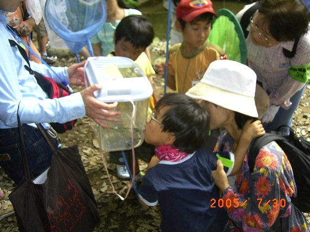 �����ȃg���{������ł���@�w�����̐����𒮂��M�S�Ɋώ@�����q�̎ʐ^