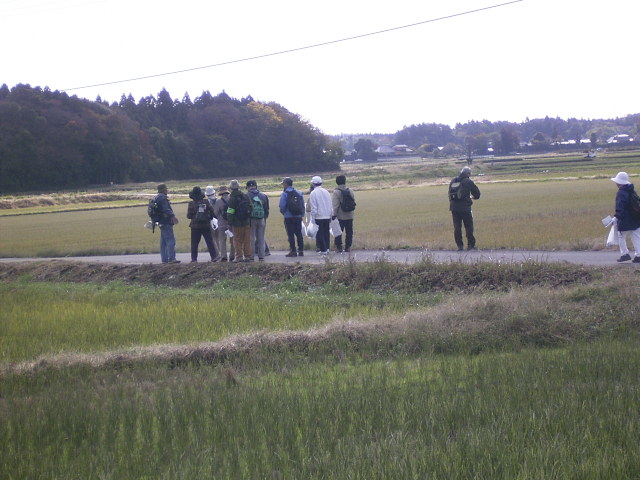 �̂ǂ��ȓc���̒����΂��̑��Ԃ��ώ@���Ă���ʐ^