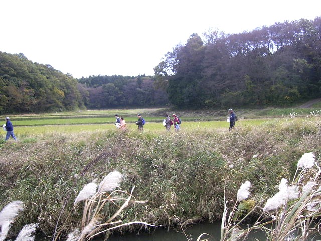 �������J�Â̒I�c��w�i�Ɏ�����̊ݕӂ�����Ă���ʐ^