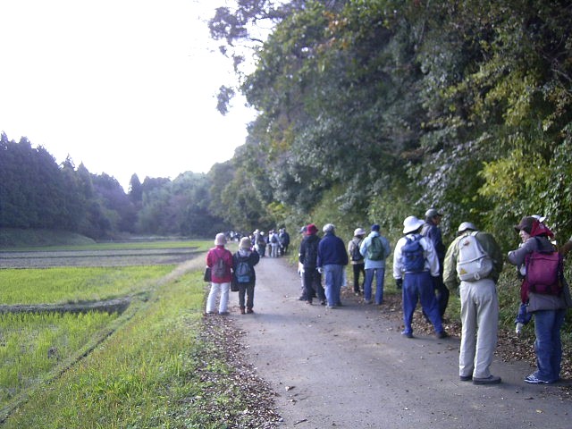 ���J�Â̗т̉��ŁA�J�~�G�r�A�����E�m�E�M�N�����ώ@���Ă���ʐ^