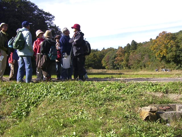 ���J�Â̒I�c���i���ςȂ���A�̂ƍ��̋��r���̈Ⴂ���ώ@���Ă���ʐ^