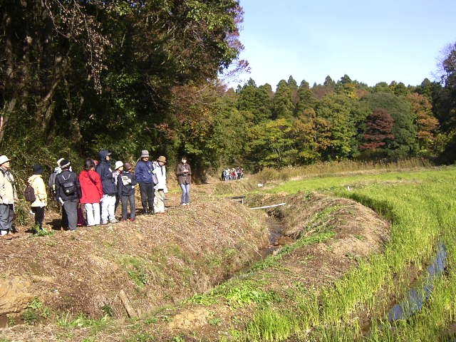 ���J�Â̒J�Óc�����킷�����H�����Ă���Q����11���̎ʐ^