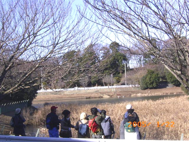 ����c�n�̉J�������r�����܂����p�����쒹�ώ@���ɔ򗈂����~���̊ώ@���i�̎ʐ^