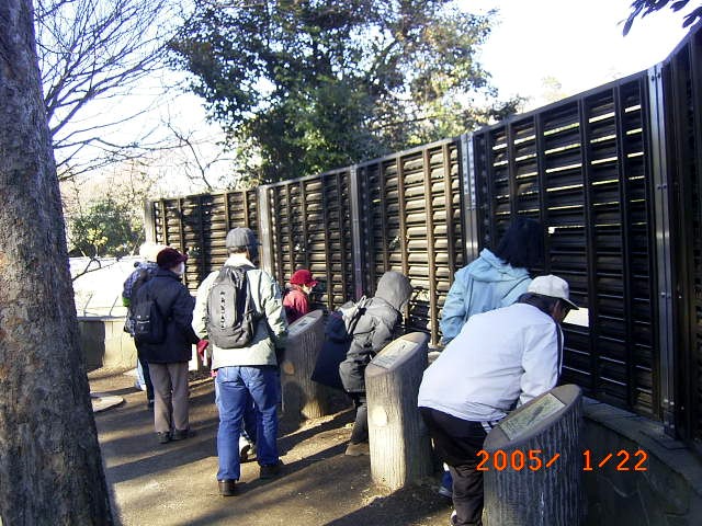 �Z��X�ɗאڂ����쒹�ώ@���@�쒹�����������ώ@����H�v�i��������j���i�̎ʐ^