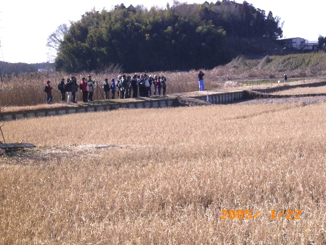 �c��ڂ̒��̃^�q�o����l�ł��܂��Ă���c�O�~���ώ@����Q���҂̎ʐ^