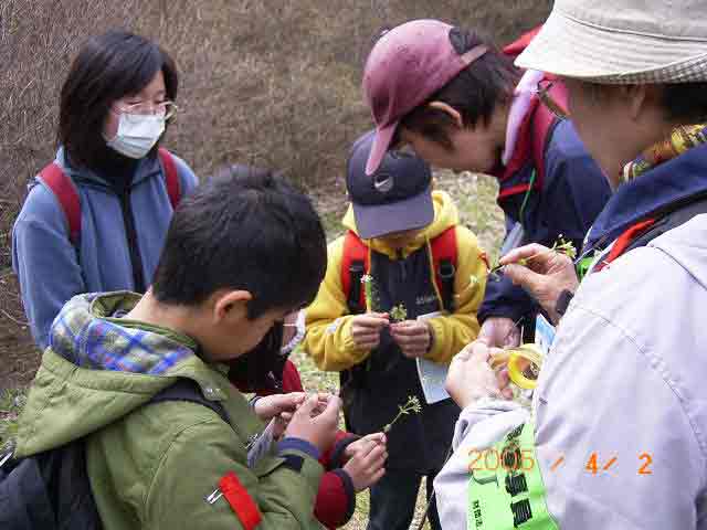 �i�Y�i�ƃ^�l�c�P�o�i�@�ǂ��ώ@���Ď�̌`���ׂĂ����