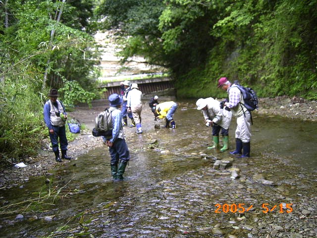 �����ɓ���A�����������y���݂Ȃ���J�W�J�K�G�����ώ@����Q���҂̎ʐ^