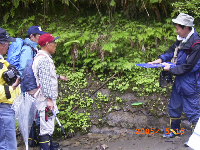 �n�`�̌X���A���ݏo�������n�`�Ƃ����ɐ��ރ^�S�K�G���̐��Ԃɂ��Đ������󂯂Ă���ʐ^