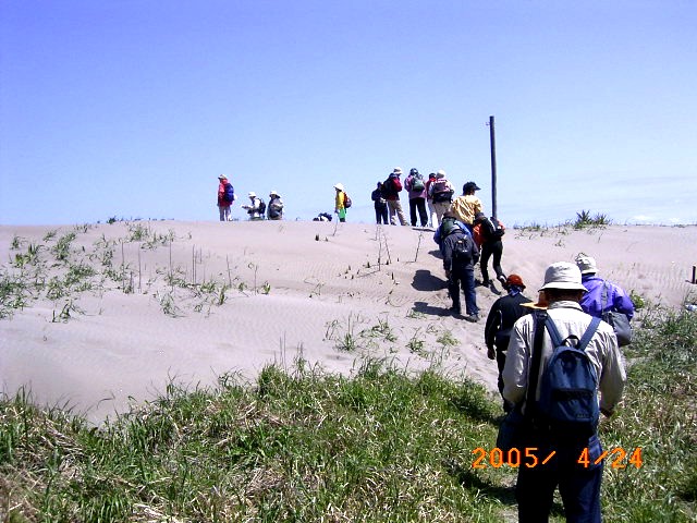 �C�ݐA���Q�����ώ@���������K���s����\�㗢�l�����C�݂ւ̈ړ����i�̎ʐ^