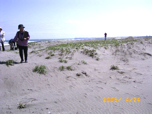 ���l��ʂɍL����n�}�q���K�I�̌Q���̎ʐ^