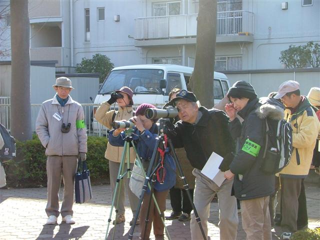 �P���L�̖؂ɂ��钹������Q���҂����̎ʐ^