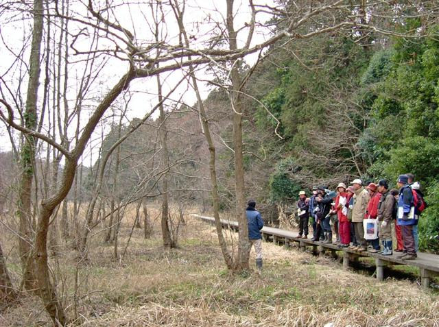 ���n�ɖ΂�n���m�L�сA�Γ��̉��͑����������A����ɂȂ��Ă���